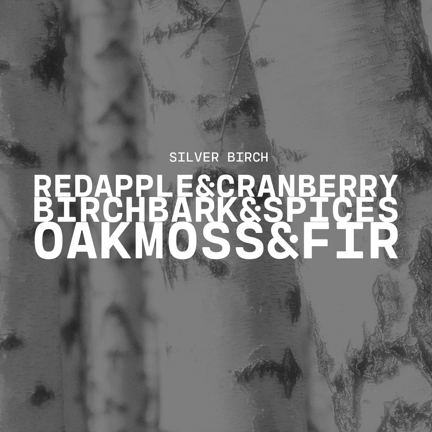 SILVER BIRCH CANDLE | 22 OZ BUTTER JAR